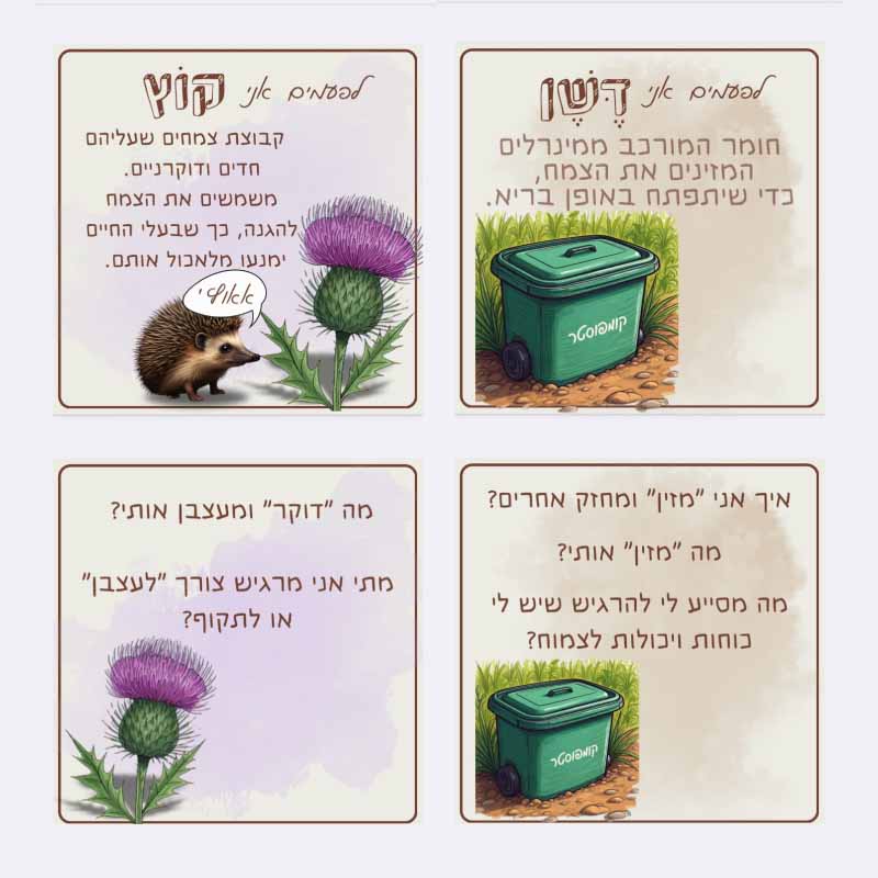 תמונה נוספת