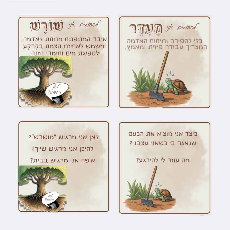 תמונה נוספת